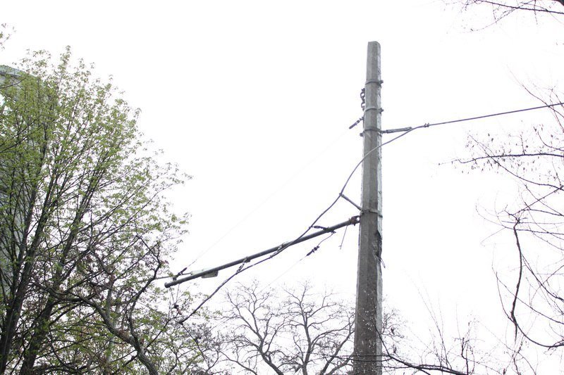 На Пушкина ветер повалил дерево на провода 7