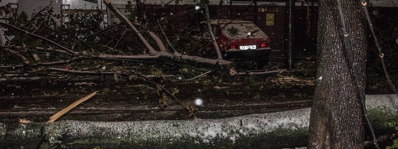 Непогода в Днепре: полиция, сломанные деревья и поврежденные машины