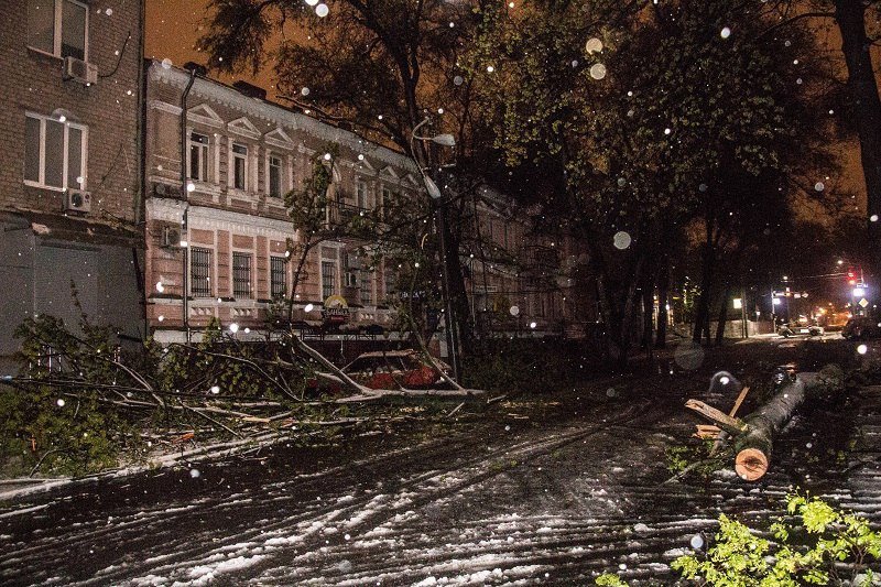 Непогода в Днепре: полиция, сломанные деревья и поврежденные машины 1