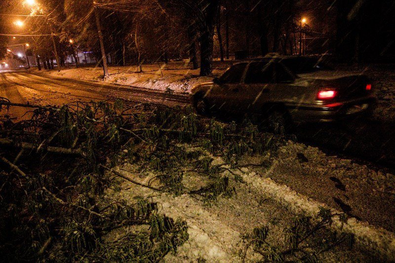 Непогода в Днепре: полиция, сломанные деревья и поврежденные машины 12
