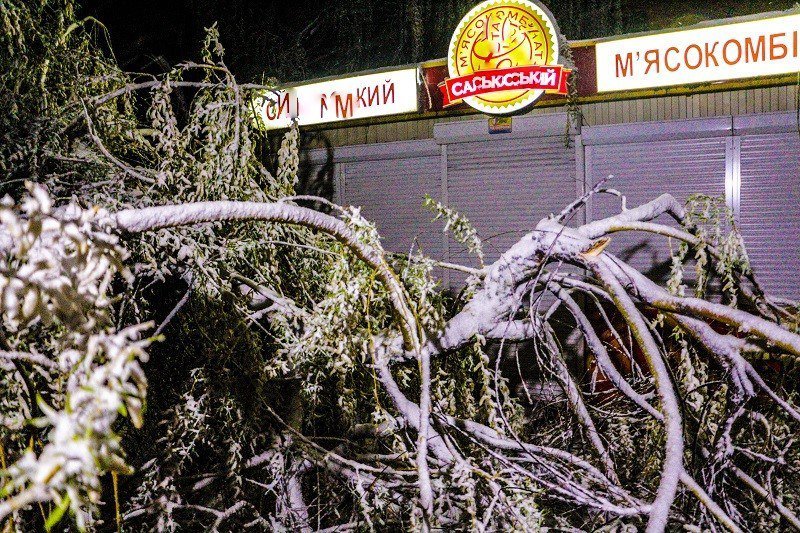 Непогода в Днепре: полиция, сломанные деревья и поврежденные машины 15