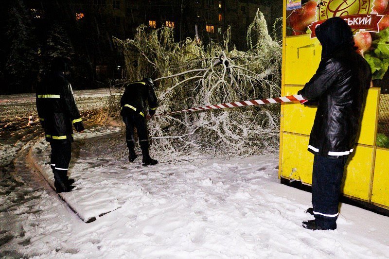 Непогода в Днепре: полиция, сломанные деревья и поврежденные машины 16