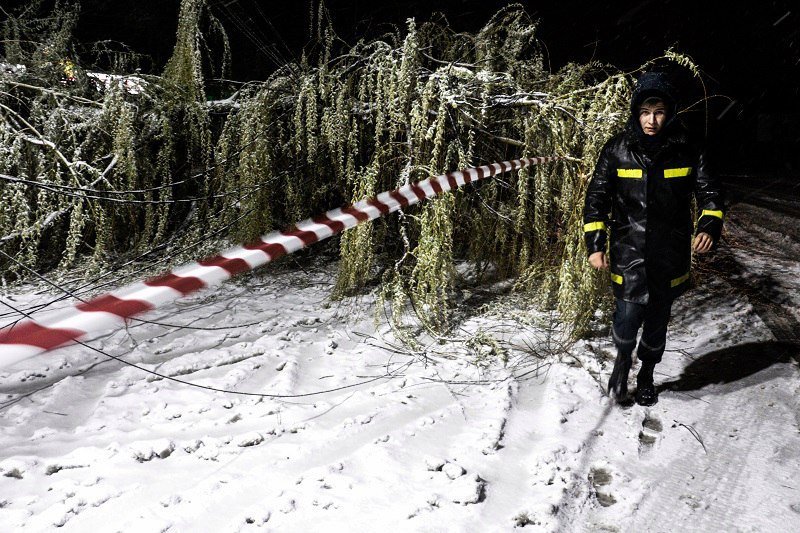 Непогода в Днепре: полиция, сломанные деревья и поврежденные машины 18