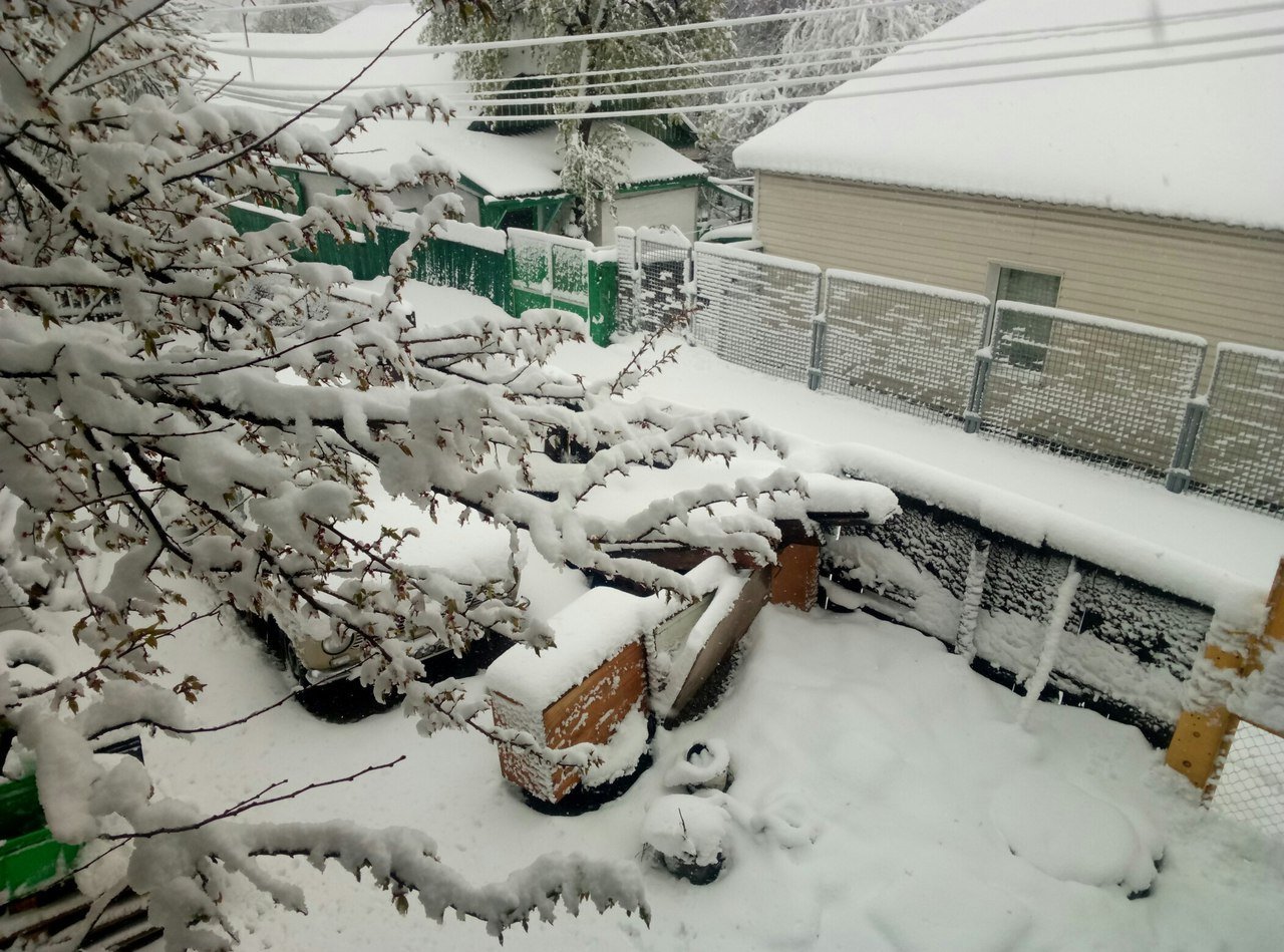 Сугробы, заснеженные дороги, мороз: в Днепр вернулась зима 5