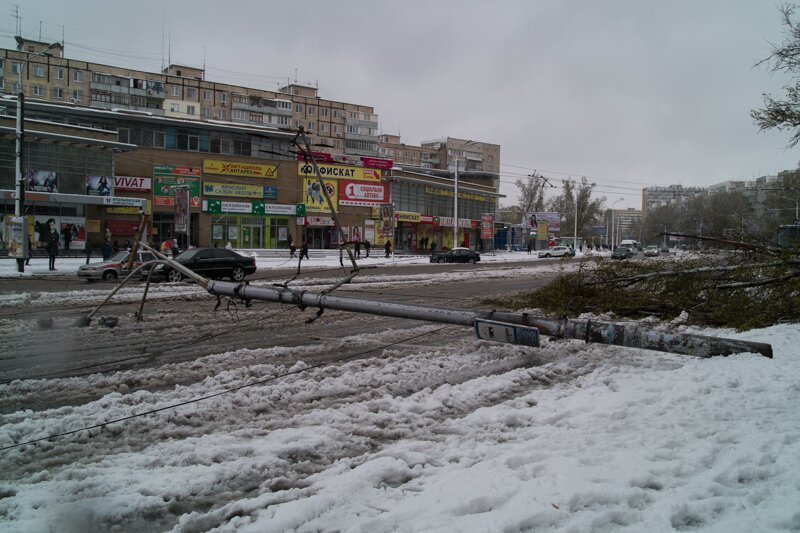 На Победе дерево упало на остановку 3