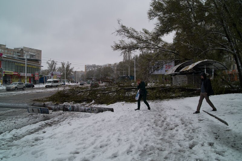 На Победе дерево упало на остановку 4