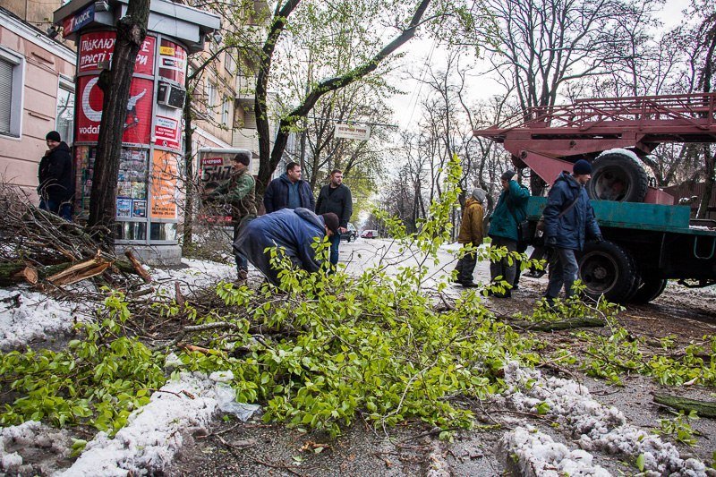 Борис Филатов рассказал о плане устранения ущерба после снегопада 1