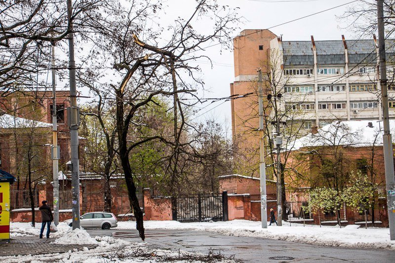 Борис Филатов рассказал о плане устранения ущерба после снегопада 2