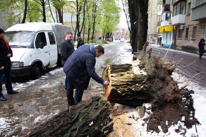 Борис Филатов рассказал о плане устранения ущерба после снегопада 3