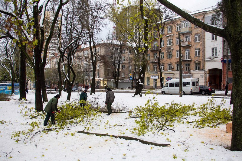 Борис Филатов рассказал о плане устранения ущерба после снегопада 4