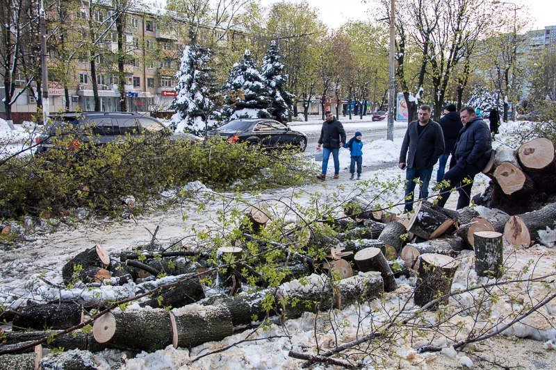 Борис Филатов рассказал о плане устранения ущерба после снегопада 5
