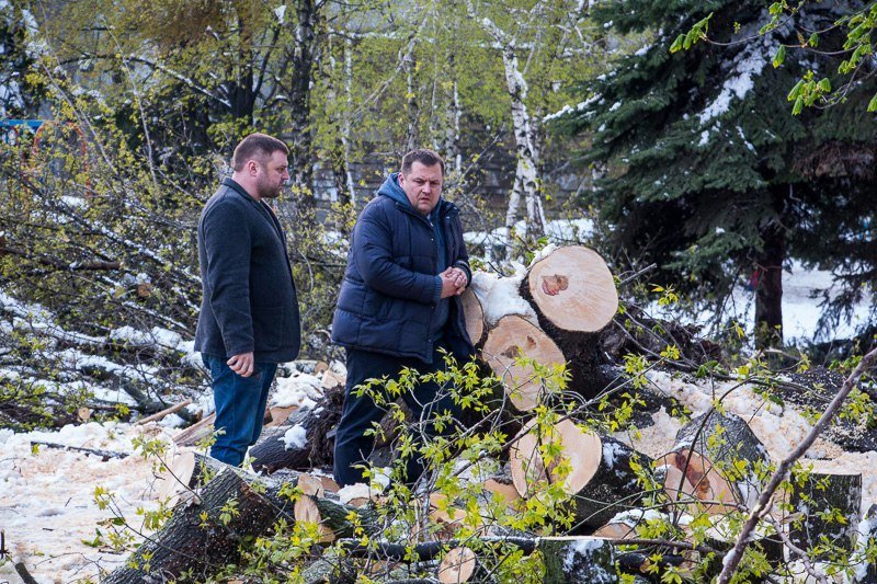 Борис Филатов рассказал о плане устранения ущерба после снегопада 6