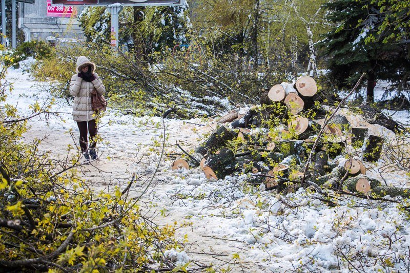 Борис Филатов рассказал о плане устранения ущерба после снегопада 7