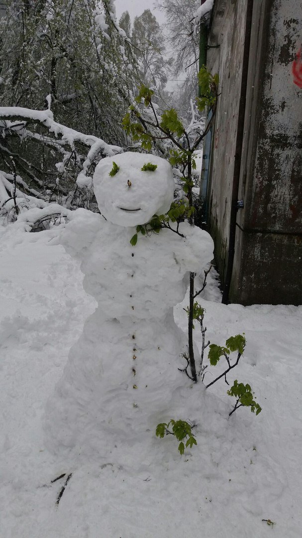 Днепр заполнился апрельскими снеговиками 5