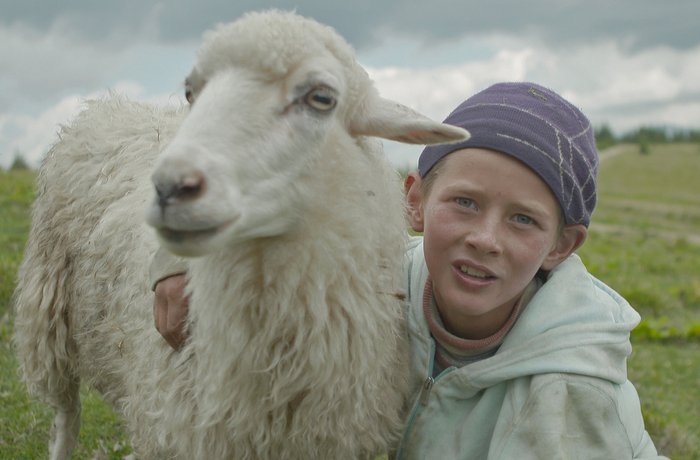 Известны победители украинского "Оскара" - кинопремии "Золота дзиґа" 5