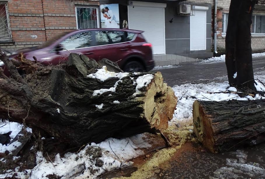 Получи ответ: что успели сделать с последствиями непогоды в Днепре 1