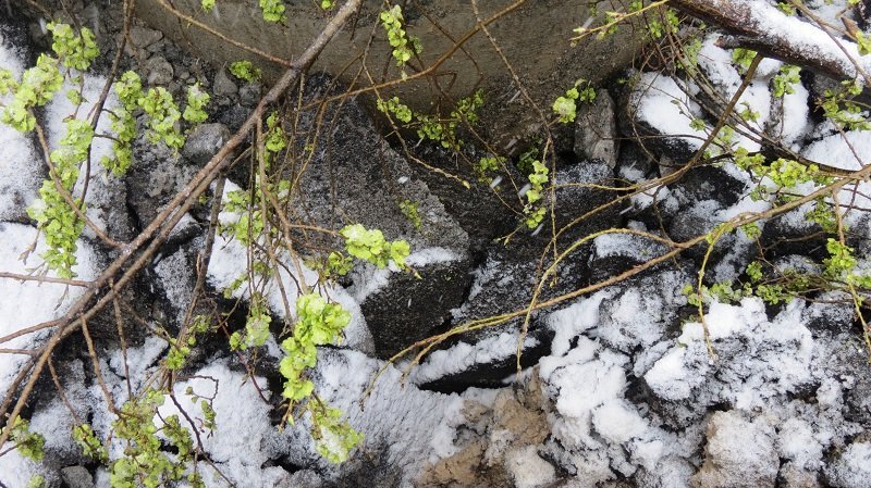 Осторожно, яма-ловушка: в центре Днепра провалился асфальт 4