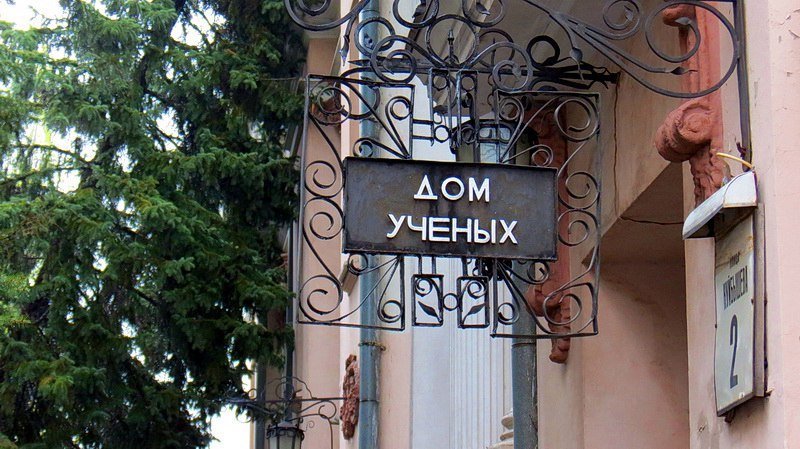 Беспощадная стихия: В Днепре на историческое здание упало несколько елок 3