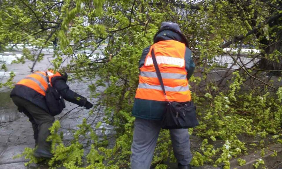 Борьба со стихией в фотографиях: как в Днепре убирали деревья после непогоды 1