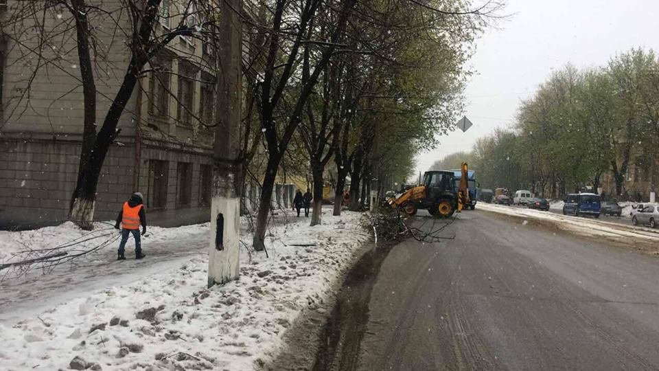 Борьба со стихией в фотографиях: как в Днепре убирали деревья после непогоды 2