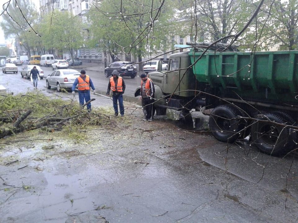 Борьба со стихией в фотографиях: как в Днепре убирали деревья после непогоды 3