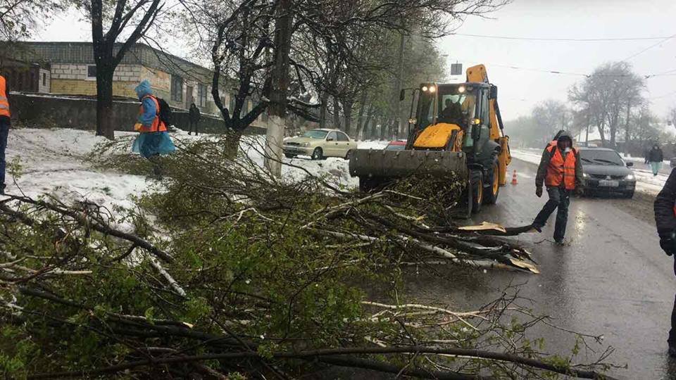 Борьба со стихией в фотографиях: как в Днепре убирали деревья после непогоды 4