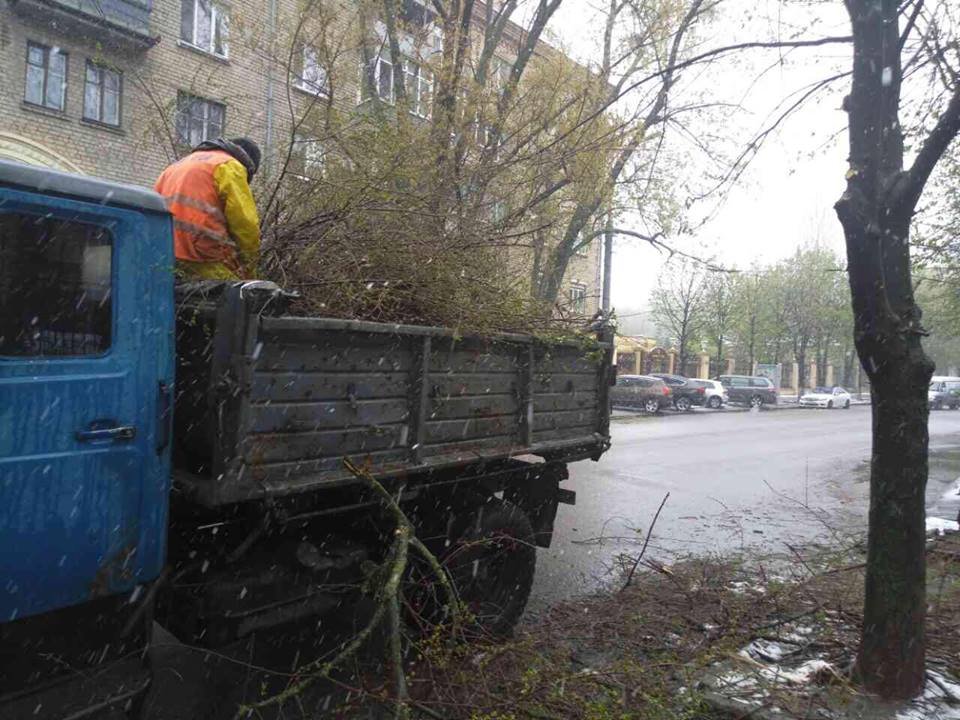Борьба со стихией в фотографиях: как в Днепре убирали деревья после непогоды 5