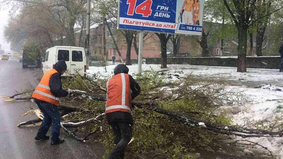 Борьба со стихией в фотографиях: как в Днепре убирали деревья после непогоды 6