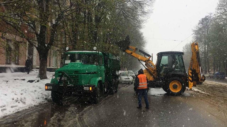 Борьба со стихией в фотографиях: как в Днепре убирали деревья после непогоды 7