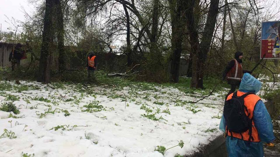 Борьба со стихией в фотографиях: как в Днепре убирали деревья после непогоды 8