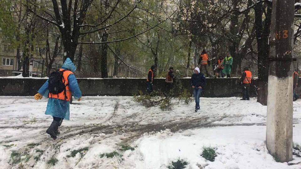 Борьба со стихией в фотографиях: как в Днепре убирали деревья после непогоды 9