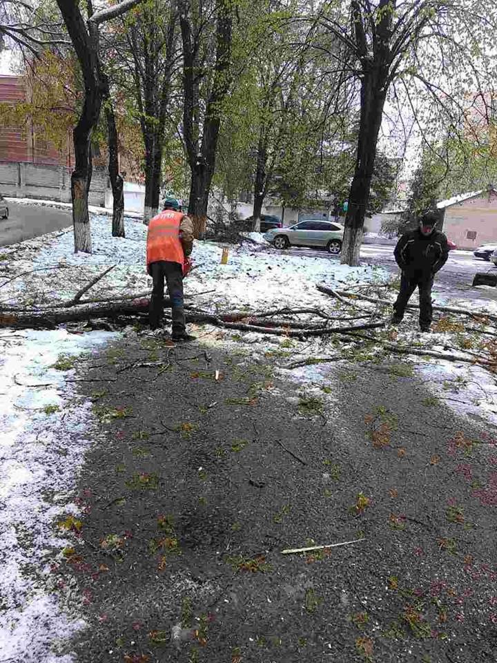 Борьба со стихией в фотографиях: как в Днепре убирали деревья после непогоды 10