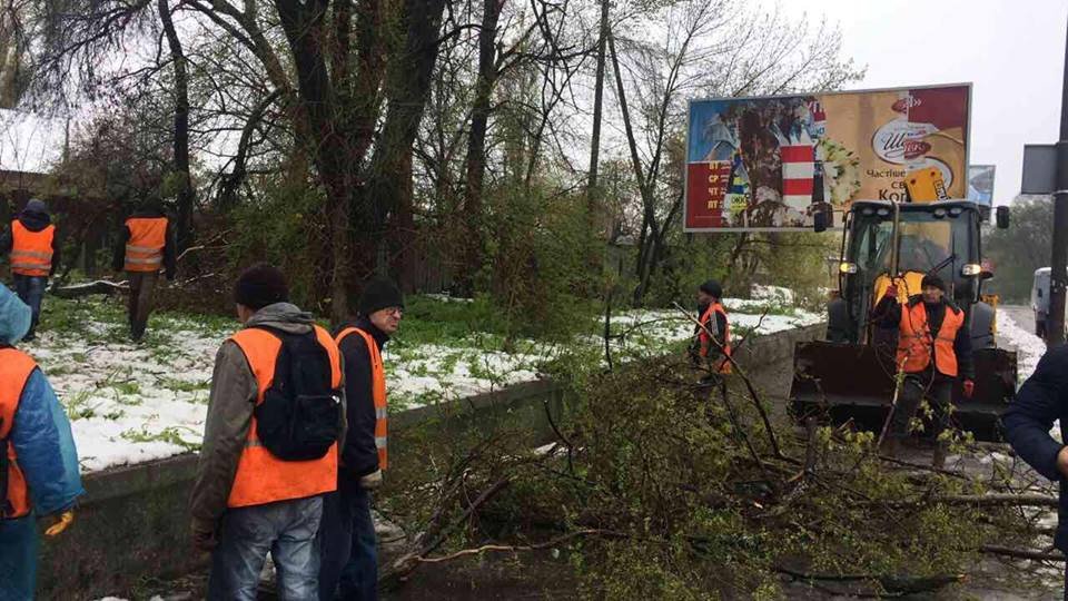 Борьба со стихией в фотографиях: как в Днепре убирали деревья после непогоды 11