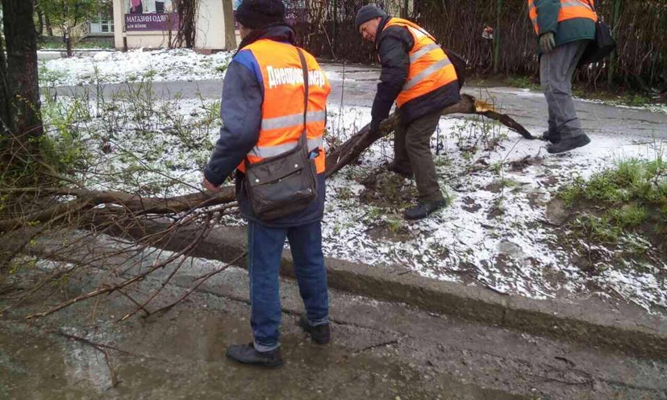Борьба со стихией в фотографиях: как в Днепре убирали деревья после непогоды 12