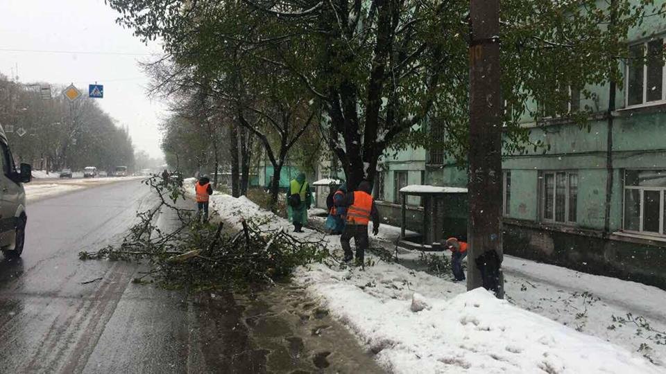 Борьба со стихией в фотографиях: как в Днепре убирали деревья после непогоды 13