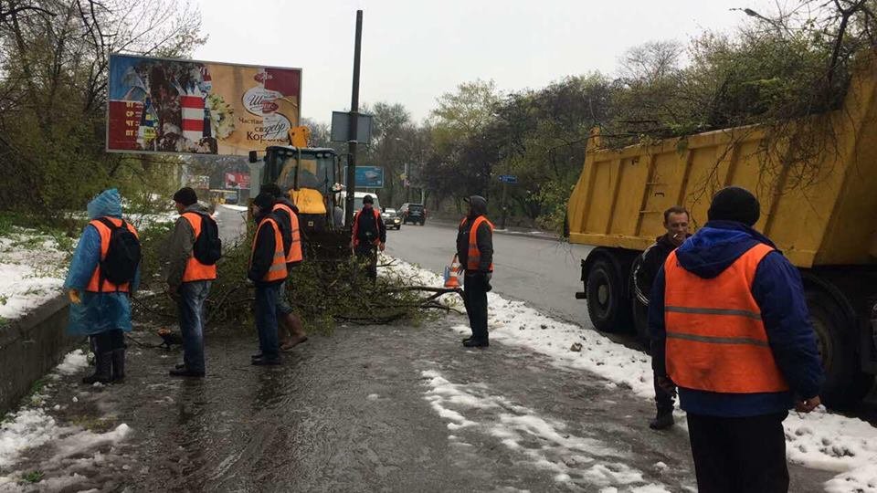 Борьба со стихией в фотографиях: как в Днепре убирали деревья после непогоды 14