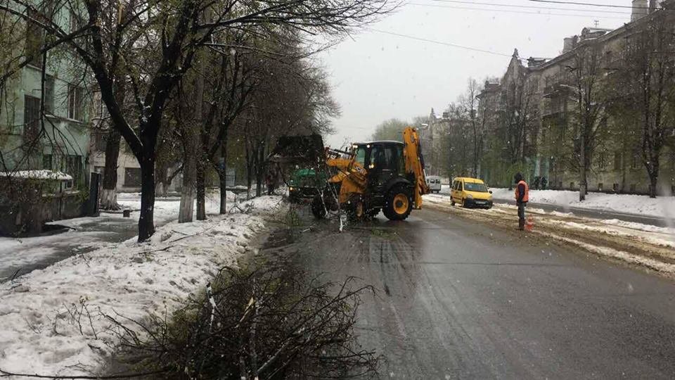 Борьба со стихией в фотографиях: как в Днепре убирали деревья после непогоды 15