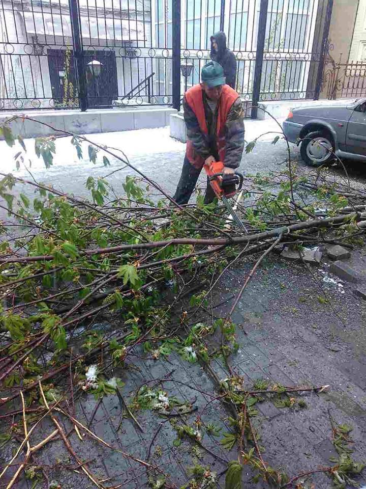 Борьба со стихией в фотографиях: как в Днепре убирали деревья после непогоды 16