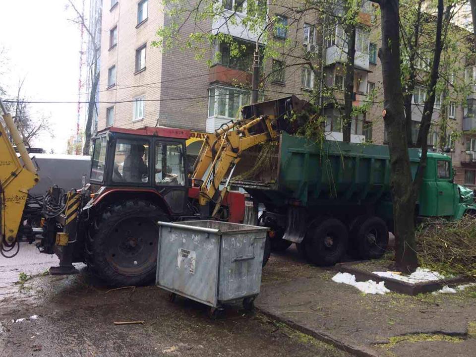 Борьба со стихией в фотографиях: как в Днепре убирали деревья после непогоды 17