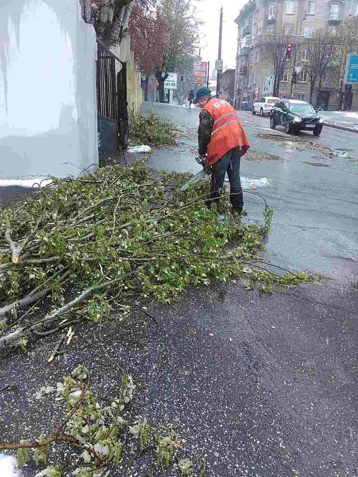 Борьба со стихией в фотографиях: как в Днепре убирали деревья после непогоды 18