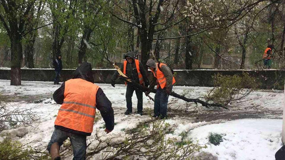 Борьба со стихией в фотографиях: как в Днепре убирали деревья после непогоды 20