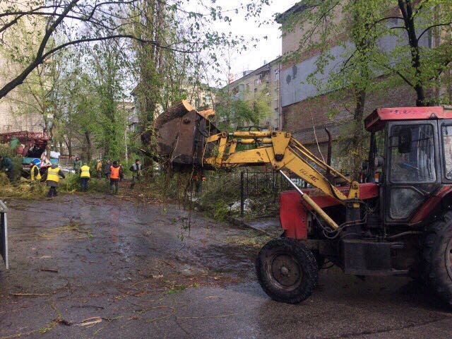 Борьба со стихией в фотографиях: как в Днепре убирали деревья после непогоды 21