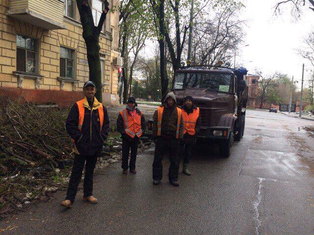 Борьба со стихией в фотографиях: как в Днепре убирали деревья после непогоды 22