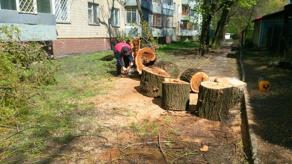 Уборка города после снегопада продолжается: как работают коммунальные службы 3