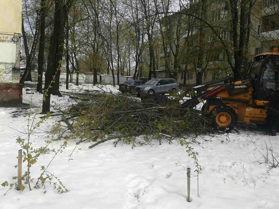 Уборка города после снегопада продолжается: как работают коммунальные службы 11