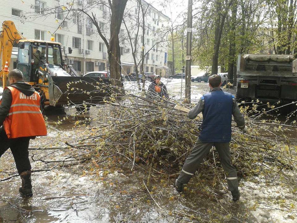 Уборка города после снегопада продолжается: как работают коммунальные службы 13