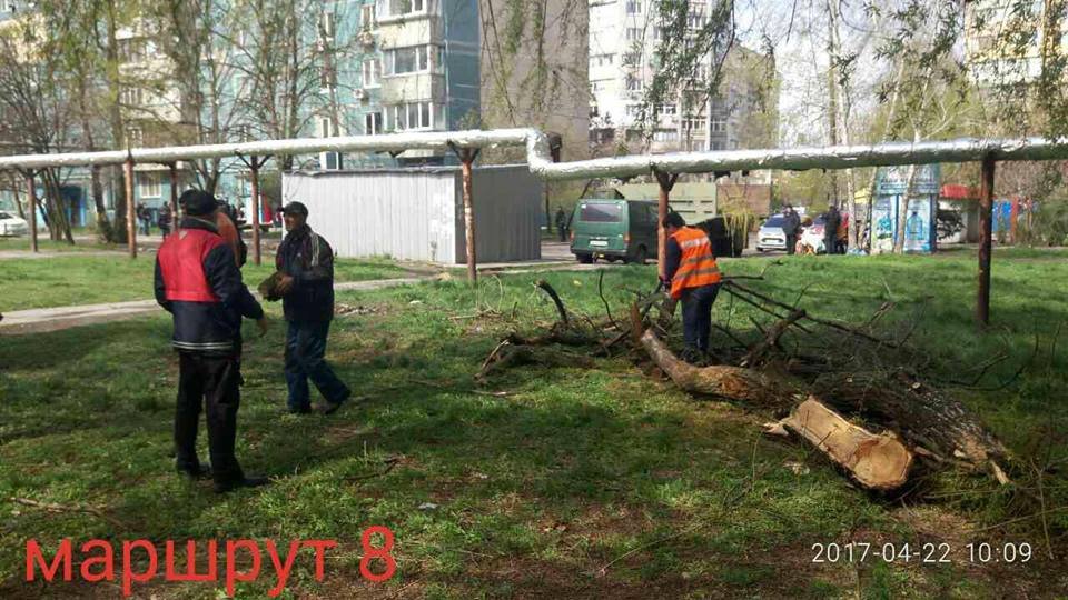 Уборка города после снегопада продолжается: как работают коммунальные службы 17