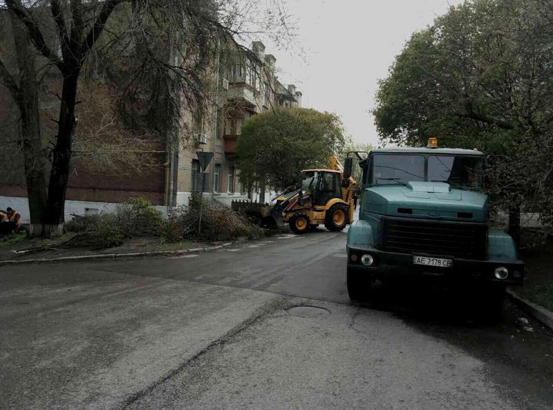 Борьба со стихией продолжается: в Днепре уже убрали почти 3 тысячи деревьев 6
