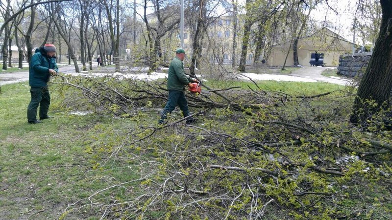 Борьба со стихией продолжается: в Днепре уже убрали почти 3 тысячи деревьев 7