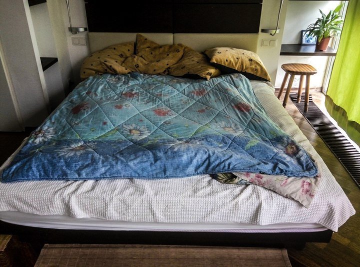 Трехэтажное имение Олега Царева в Днепре отдали переселенцам из Донбасса 17